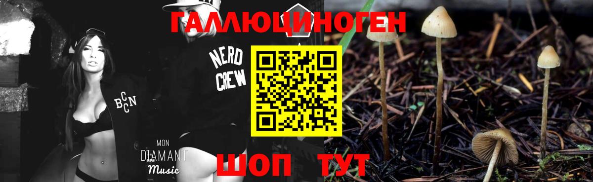 Галлюциногенные грибы мухоморы  Вход с VPN  Курганинск 